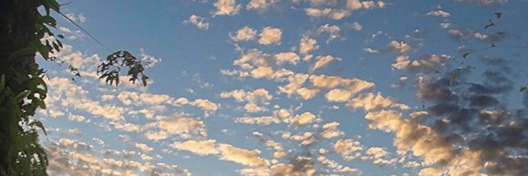 kmoralesh's profile banner image