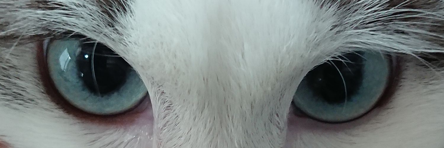 beru banner