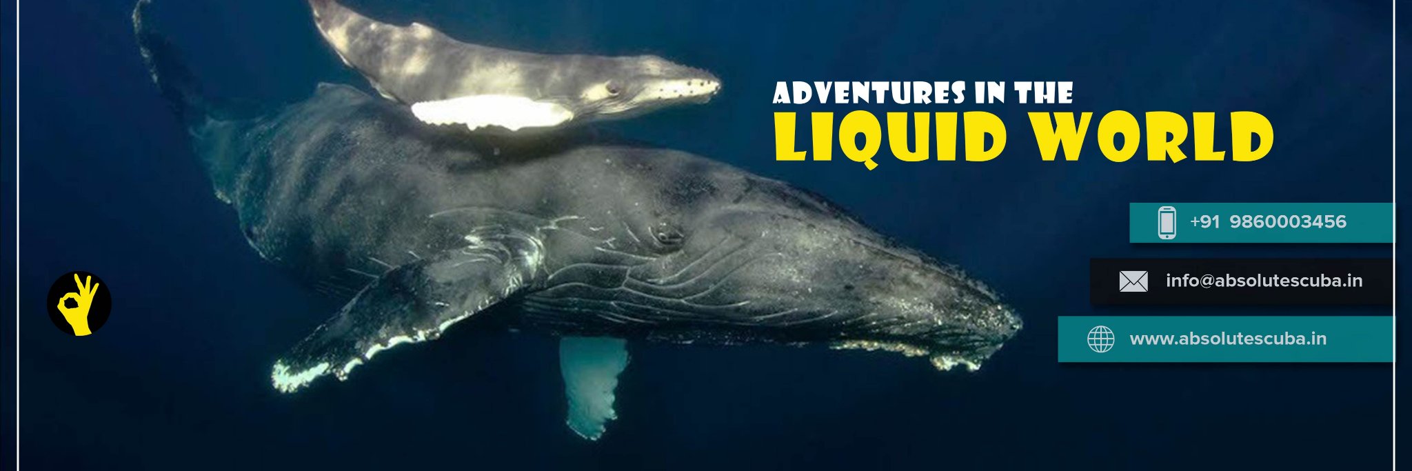 AbsoluteScuba1's profile banner image