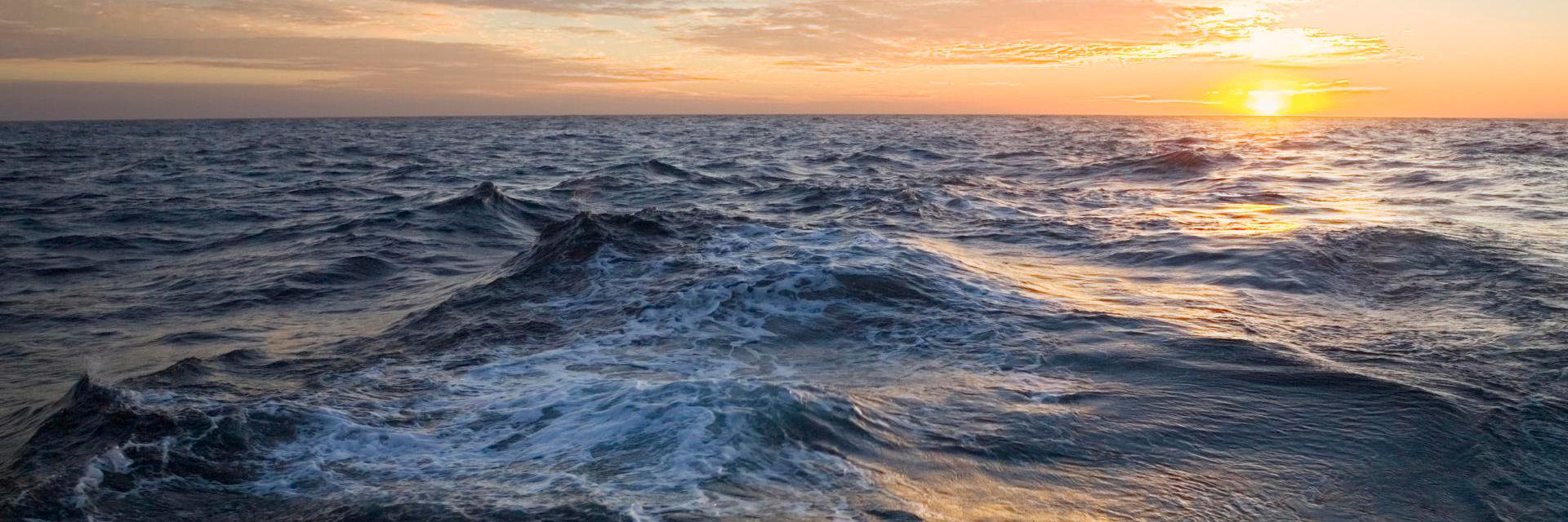 EC Entrepreneur banner