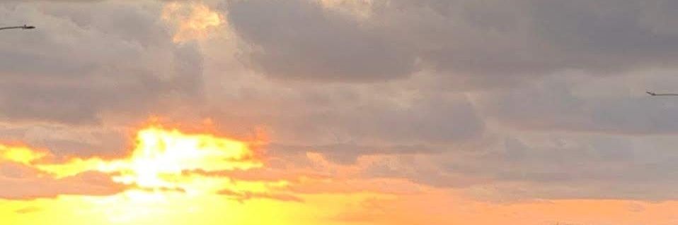 mafeleon6630's profile banner image