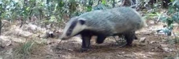 kishiro134 Profile Banner