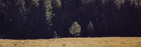 pinsachmarc Profile Banner