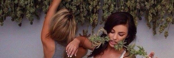 dr_g_dro's profile banner image