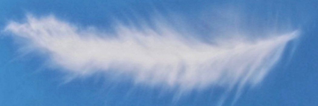Badger banner