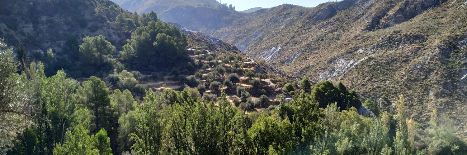 Nacho Talarga banner