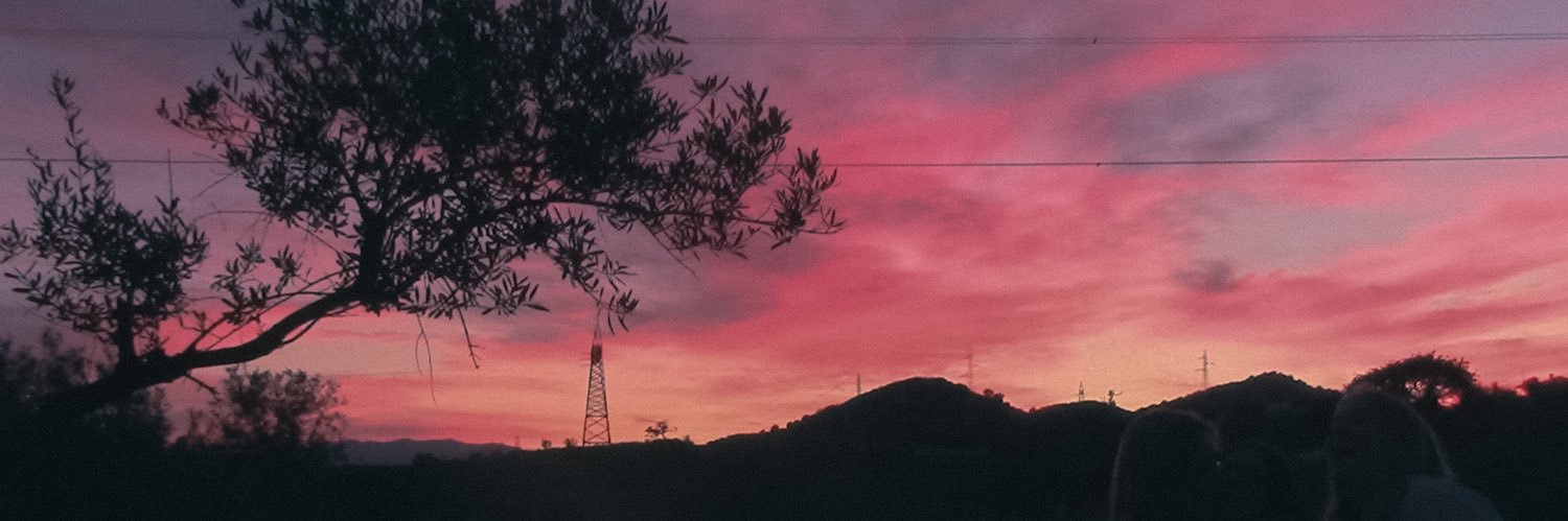 almuulp's profile banner image