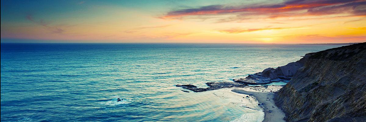 Ava banner