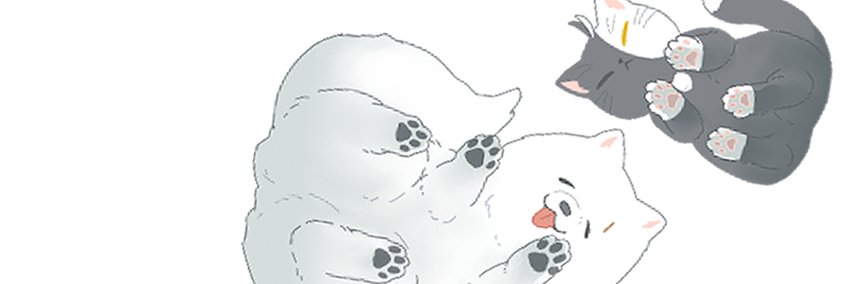 みずだこ🫠 banner