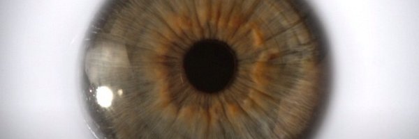 DarwinFranks Profile Banner