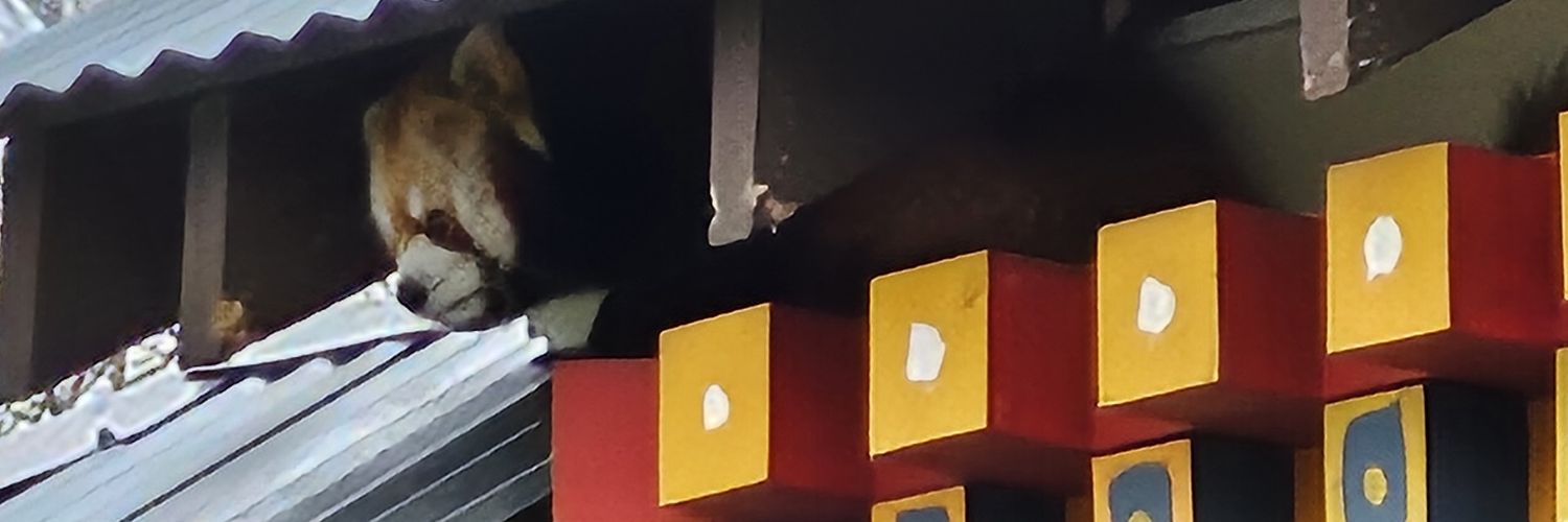 cryinginacrypt's profile banner image
