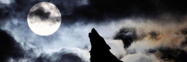 TRawls810 Profile Banner