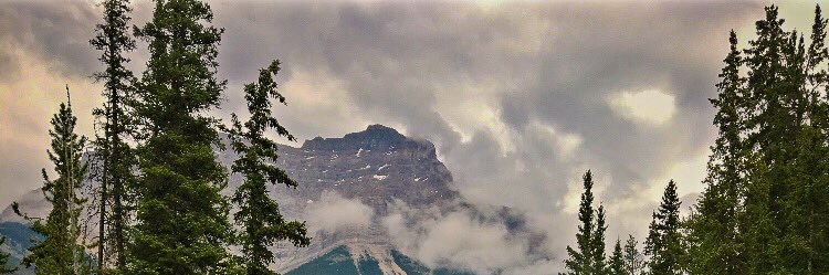 Pierre Dalati banner