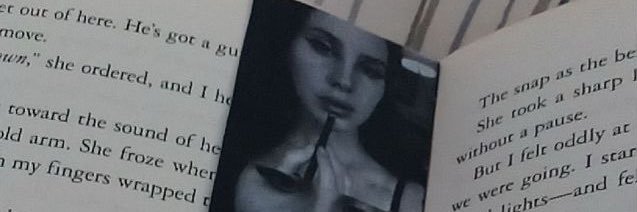 yoiitzhayley's profile banner image