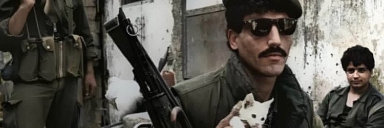 Roger van Egmond Ⓥ 𓃟 Pigoneer #GTTO banner