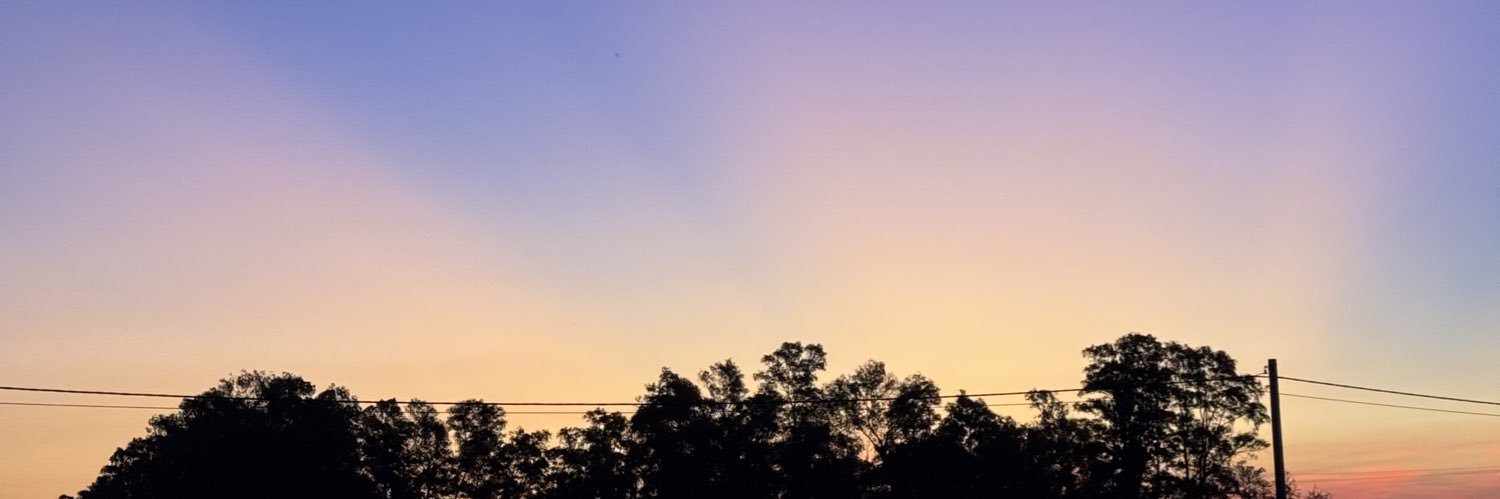 Gonzabos's profile banner image