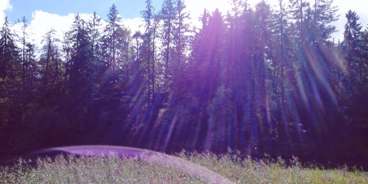 modcoss's profile banner image
