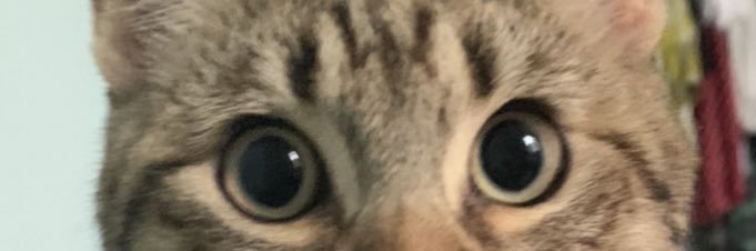 bcarla_a's profile banner image