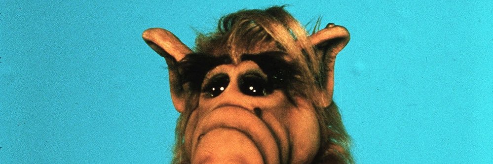 FredrickPeePee's profile banner image
