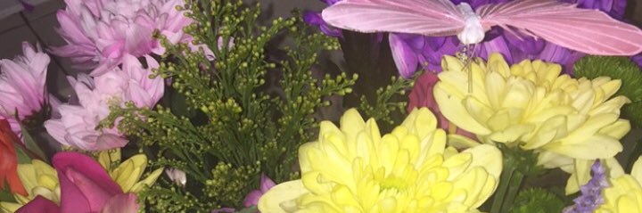 Rhiannan Morgan banner