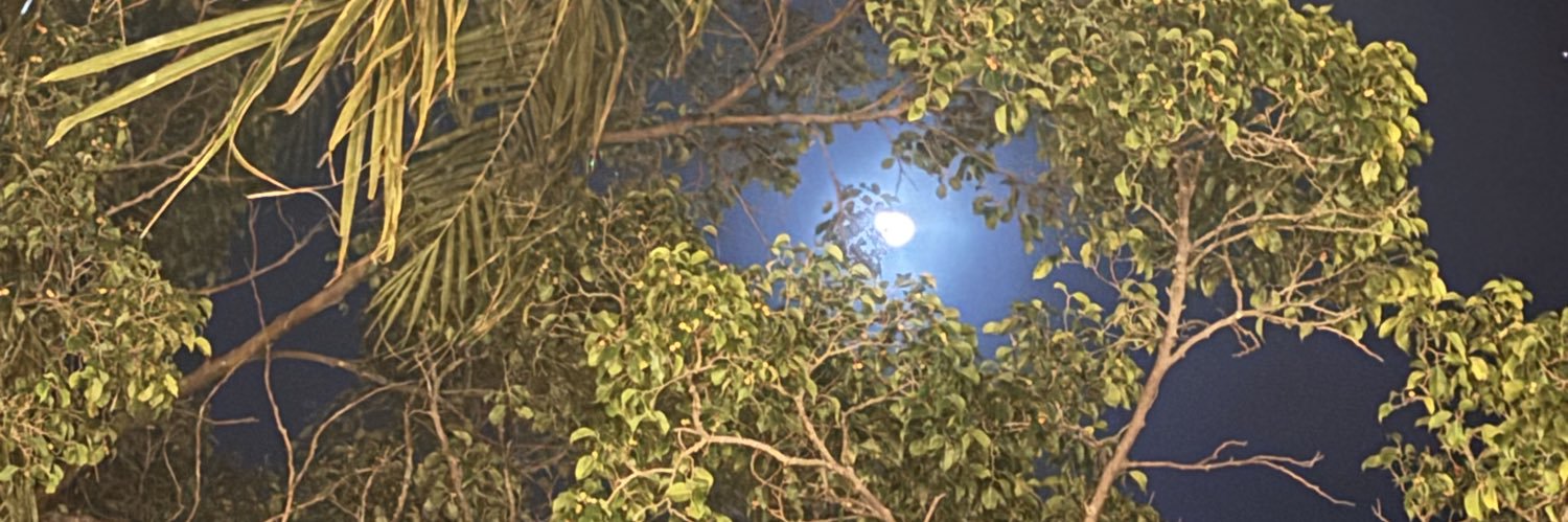 ailevkno's profile banner image