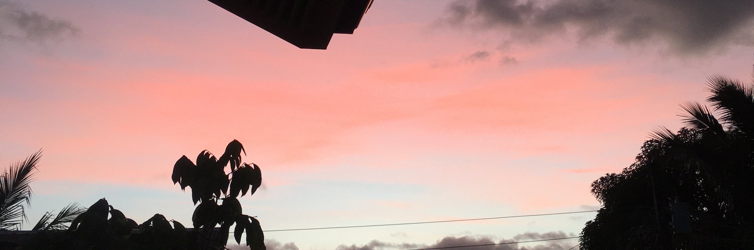 marinil__'s profile banner image