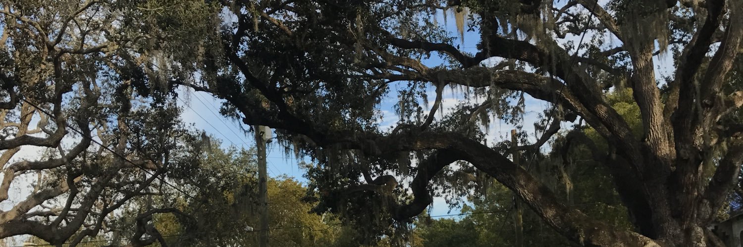 DestinyGaines99's profile banner image