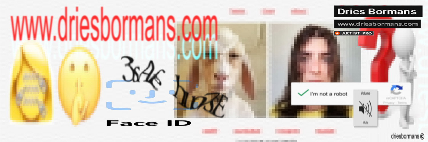 Dries Bormans banner