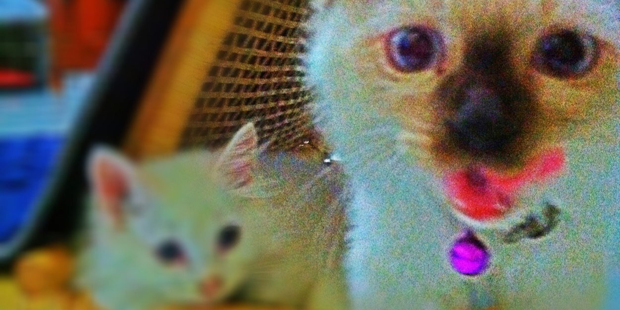 guruhkk's profile banner image