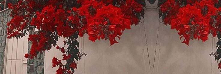 ll9370's profile banner image