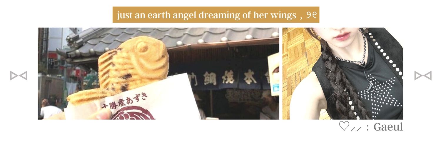 ₊ ⊹ Sam✩ banner