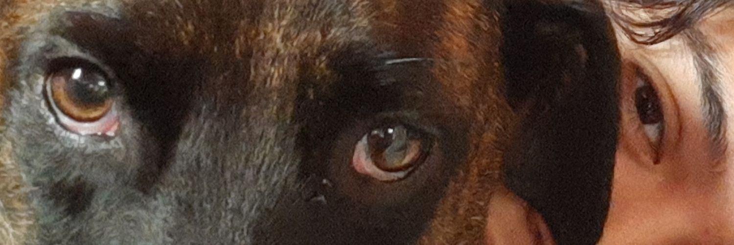 mil_yaha's profile banner image