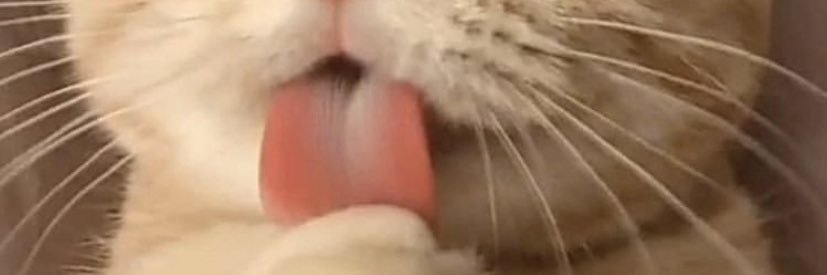 tigergook2's profile banner image