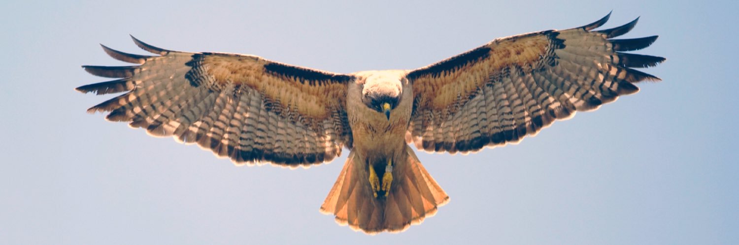 alimoohamaad's profile banner image