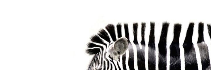 IMYOONee's profile banner image