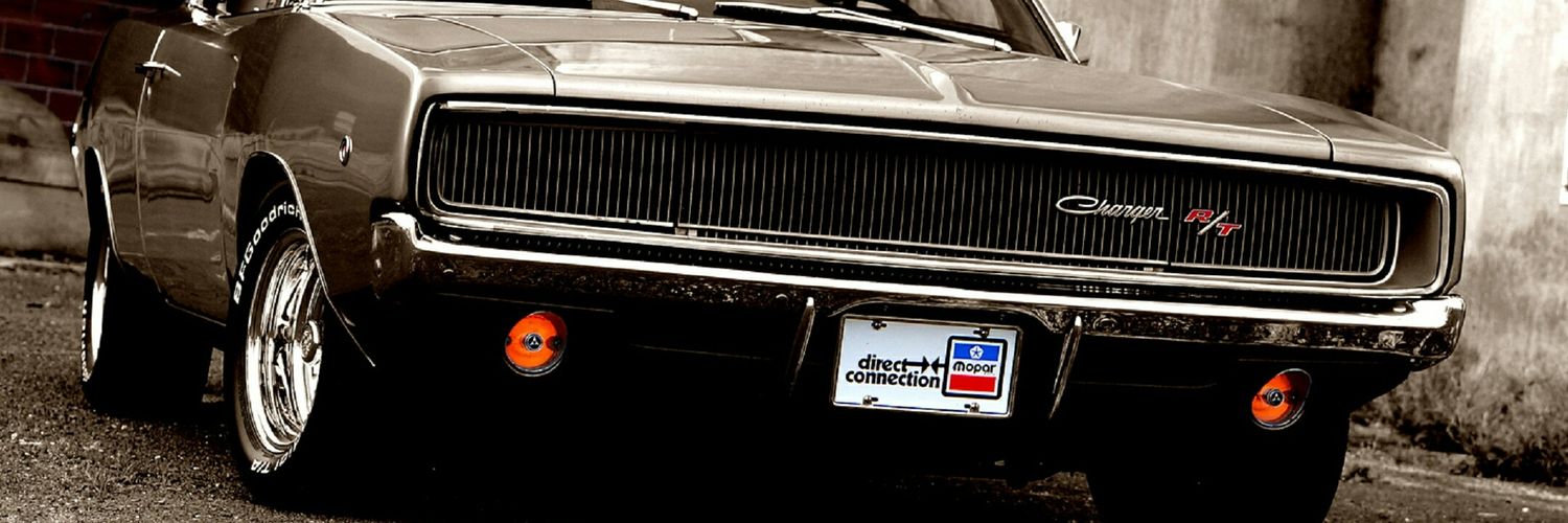 dodocan35's profile banner image