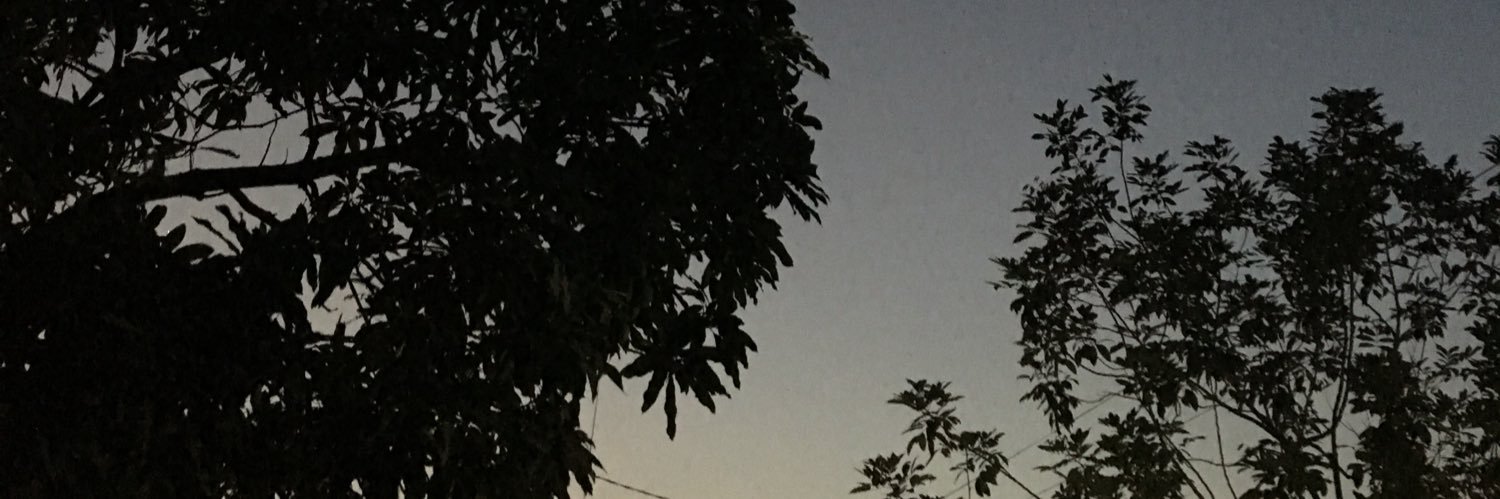 EndruRP's profile banner image