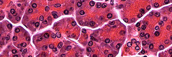 PathologyHouse Profile Banner