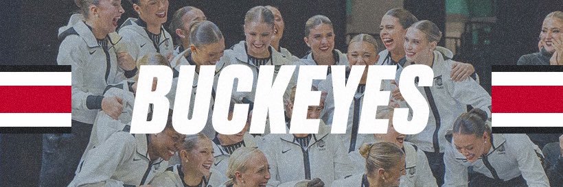 Ohio State Dance Team banner