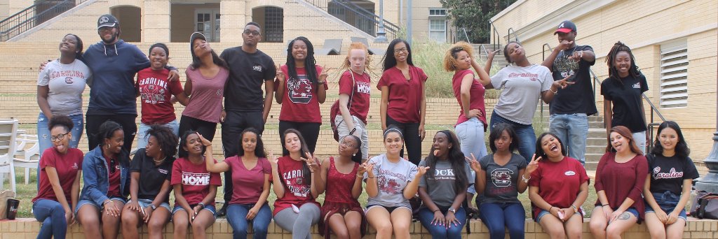 UofSC_MAPP's profile banner image