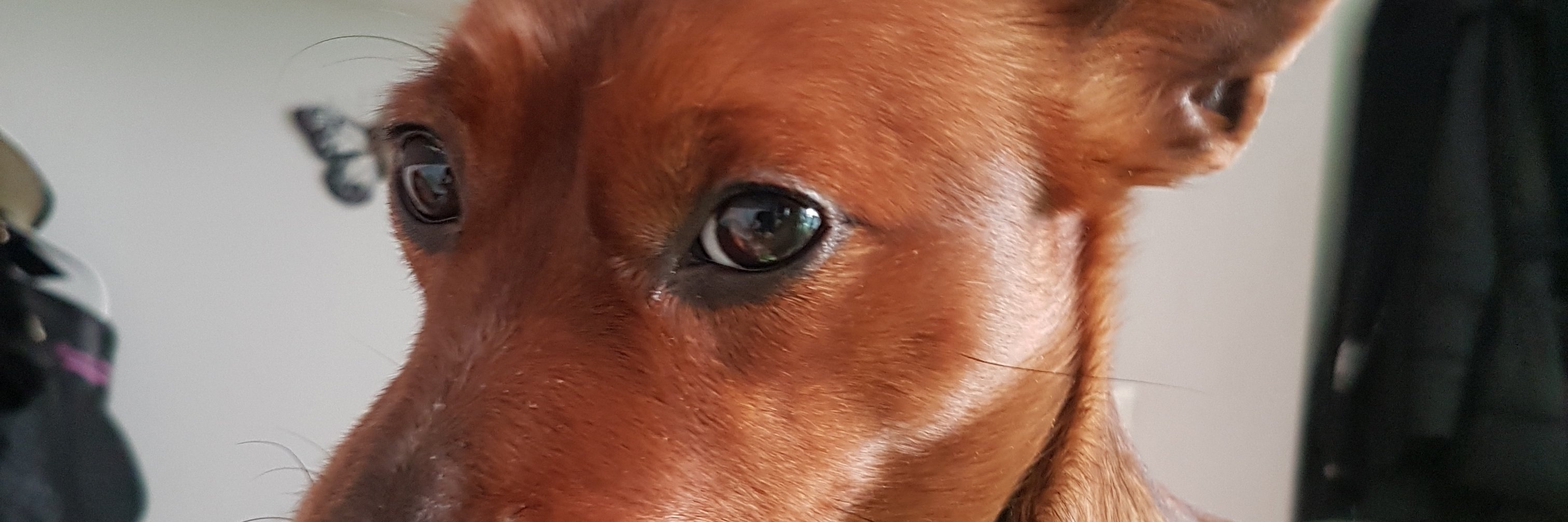 Ciaciotta1's profile banner image