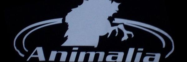 ◆Joony Cañete◆ banner