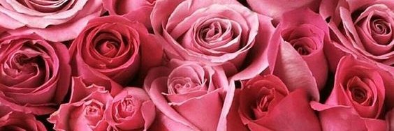 LaynaRose banner