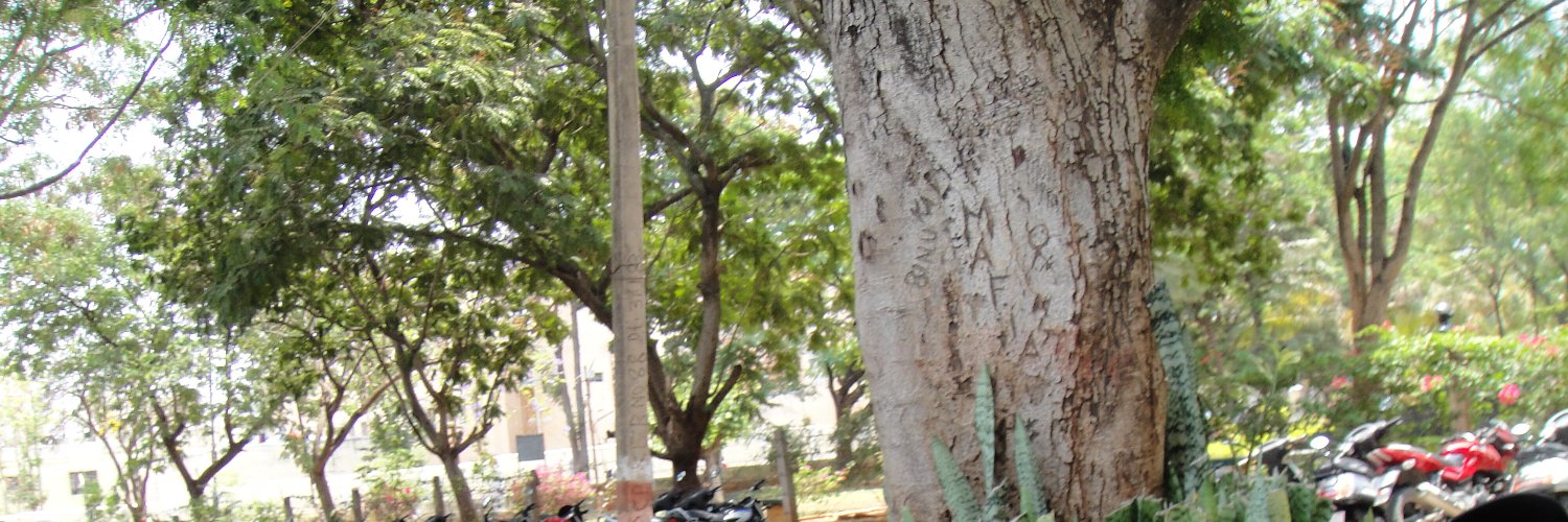 biyonjose's profile banner image
