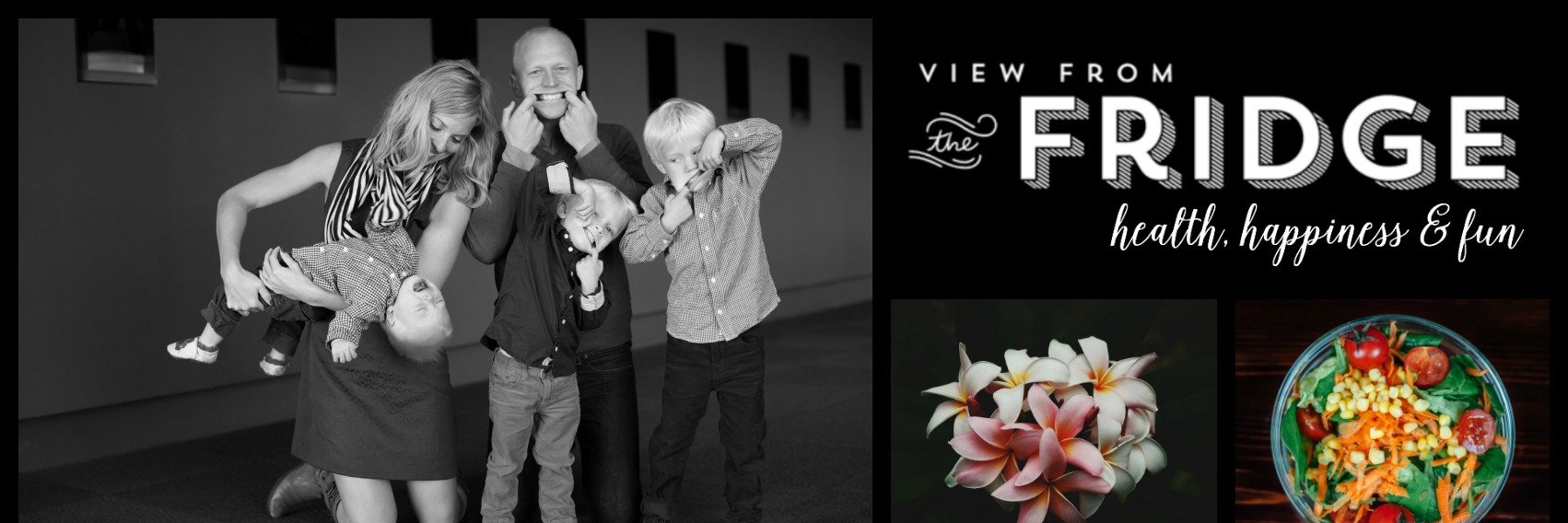 Viewfromfridge's profile banner image