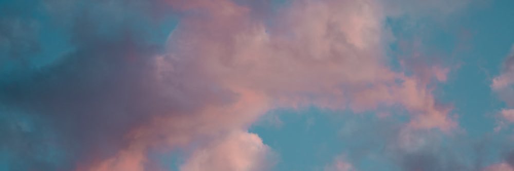 beffffrose's profile banner image