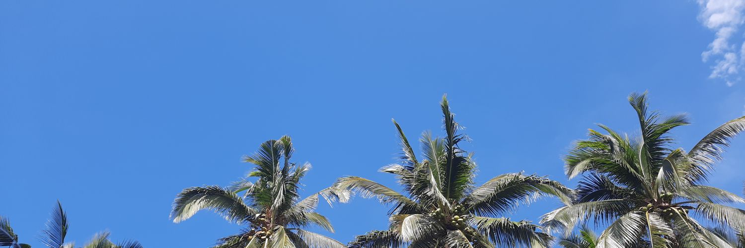 andreaymartinez's profile banner image
