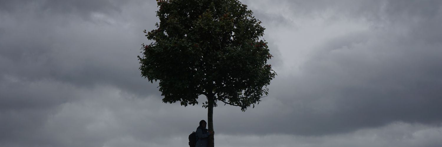 sarimuhri's profile banner image