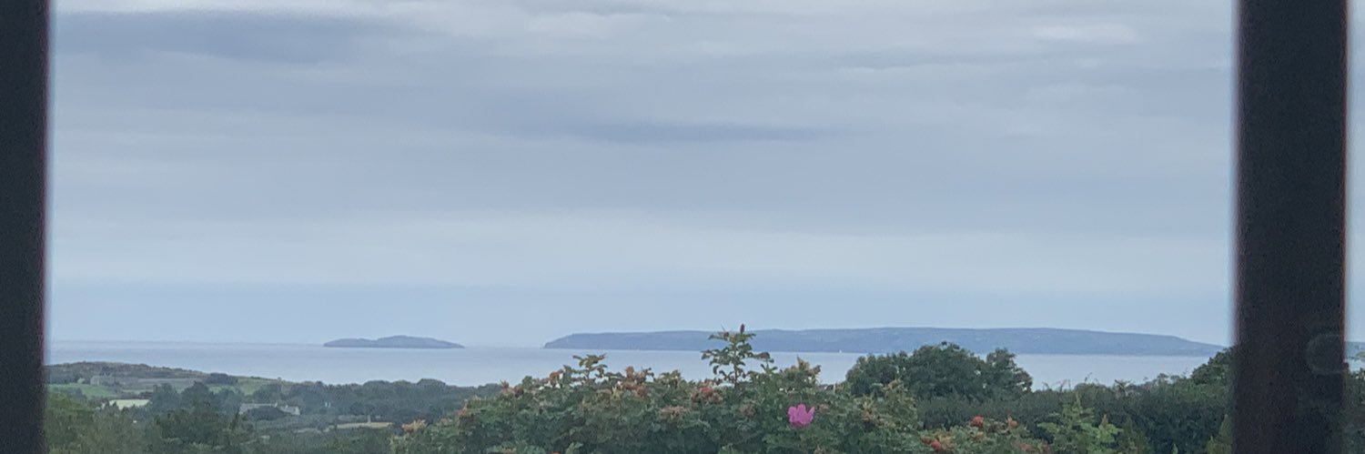 nickybillie⁷ banner