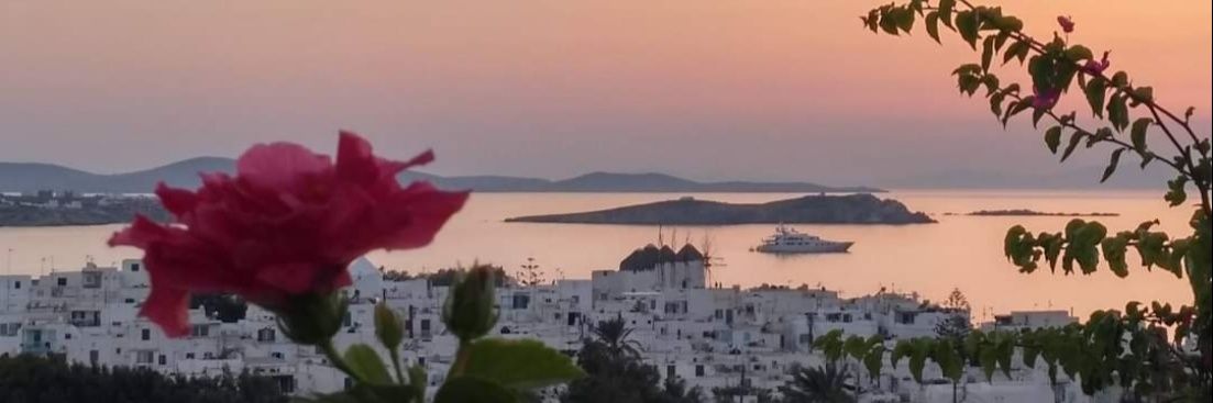 𝒇𝒂𝒚𝒆 𝒊𝒏 𝒘𝒐𝒏𝒅𝒆𝒓𝒍𝒂𝒏𝒅 banner